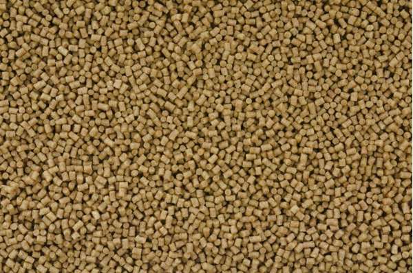 Mix fishing bait pellets close-up. Baits for carp Stock Photo - Alamy